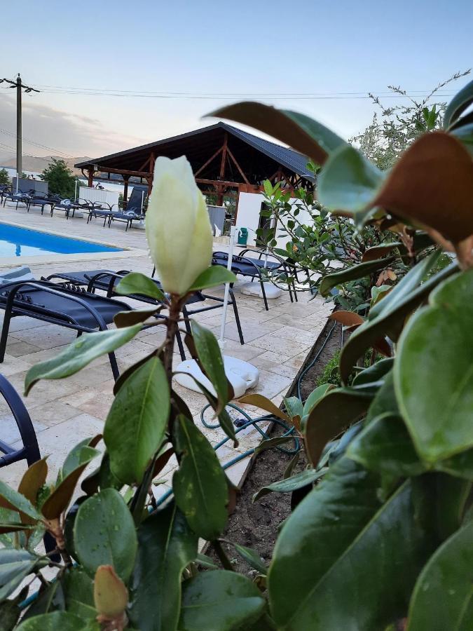 Clisura Dunarii - Pensiunea Casa Creta Liborajdea Esterno foto